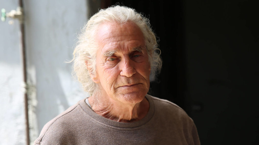 Ted Falconi, 2017